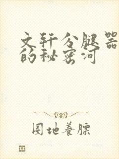 文轩分腿器河马的秘密河