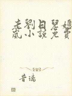老刘日儿媳妇张岚小说免费阅读