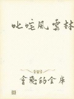 叱咤风云林云封面