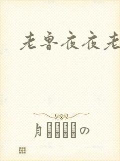 老鲁夜夜老鲁封面