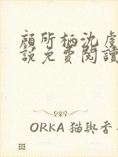 颜所栖沈虞臣小说免费阅读笔趣阁封面