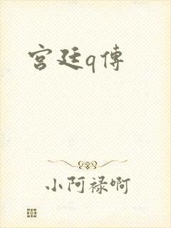 宫廷q传