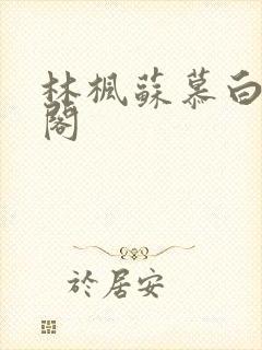 林枫苏慕白笔趣阁