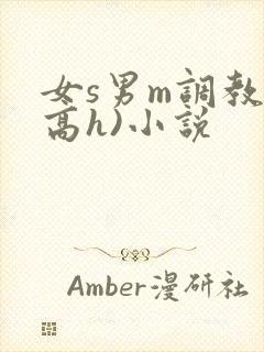女s男m调教(高h)小说封面