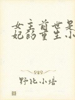 女主前世是太子妃的重生小说