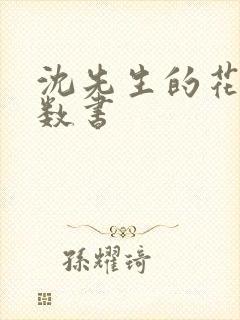 沈先生的花式调数书封面