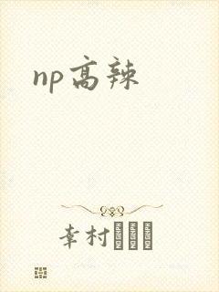 np高辣