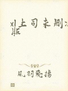 xl上司未删减版