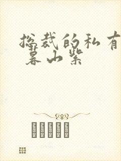 总裁的私有宝贝 暮山紫