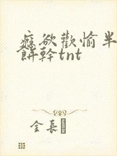 瘾欲欢愉半块小饼干tnt