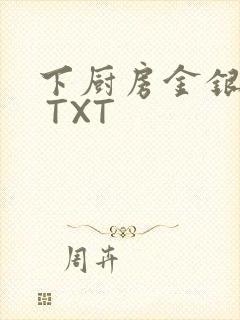 下厨房金银花露 TXT封面