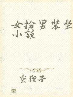 女扮男装坐江山小说