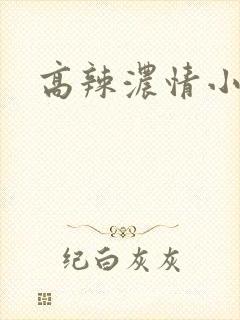 高辣浓情小说