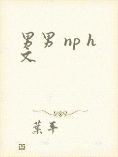 男男 np h文