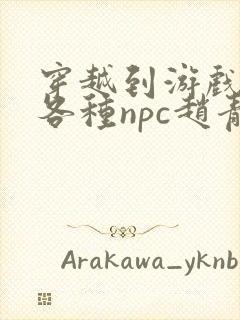 穿越到游戏里和各种npc赵青蔓