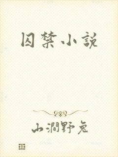 囚禁小说封面