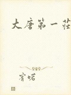 大唐第一庄