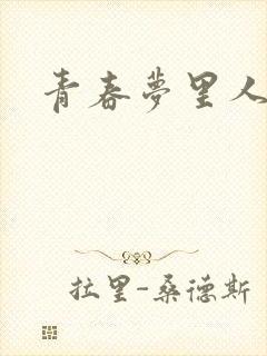 青春梦里人封面