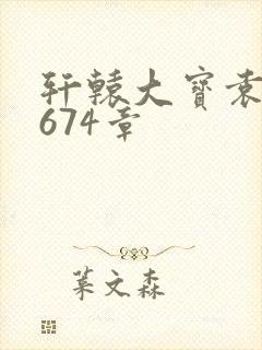 轩辕大宝袁雪妃674章