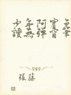 少年阿宾免费阅读无弹窗笔趣阁