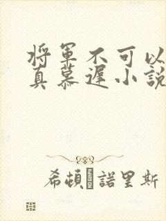 将军不可以魏云真慕迟小说笔趣阁