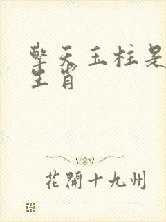 擎天玉柱是什么生肖封面