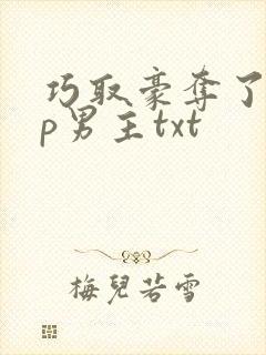 巧取豪夺了无cp男主txt