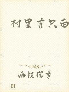 村里有只白骨精封面