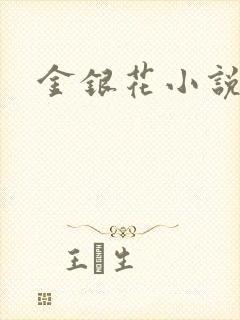 金银花小说乐可
