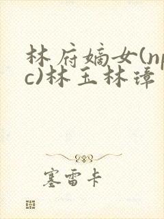 林府嫡女(npc)林玉林璋