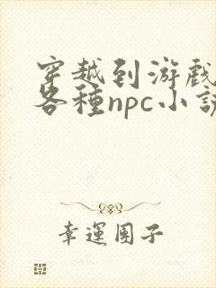 穿越到游戏里和各种npc小说封面