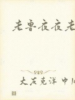 老鲁夜夜老鲁