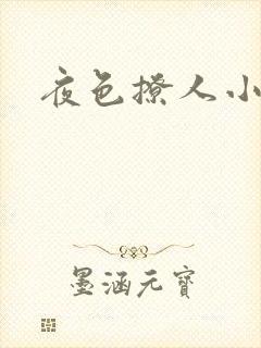 夜色撩人小说