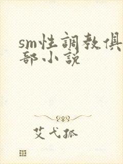 sm性调教俱乐部小说