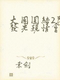 大团圆结2闪闪发光亲情会