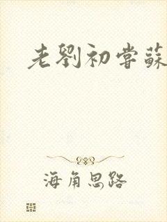 老刘初尝苏荷媳