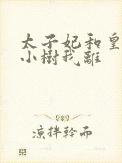 太子妃和皇上在小树我离封面