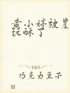 黄小婷被农民工玩酥了封面