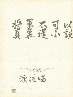 将军不可以魏云真慕迟小说笔趣阁