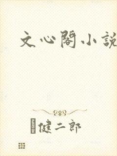 文心阁小说