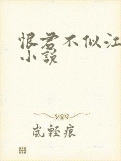 恨君不似江楼月小说