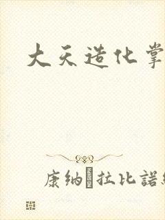 大天造化掌