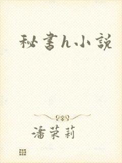 秘书h小说