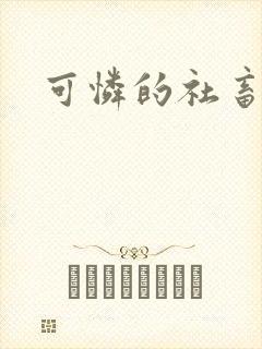 可怜的社畜分手