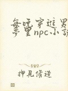 每晚穿进男神的梦里npc小说