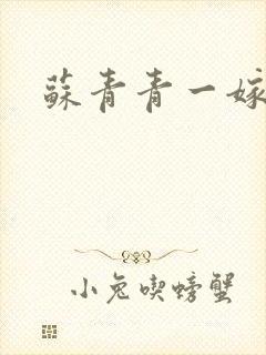 苏青青一嫁三夫封面