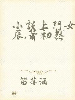 小说上门女婿叶辰,萧初然