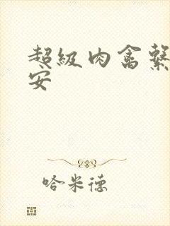 超级肉禽系统保安封面