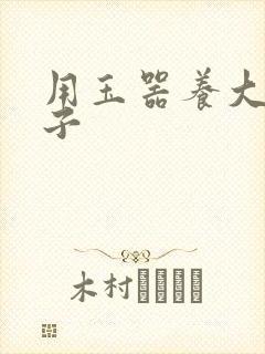 用玉器养大的皇子封面