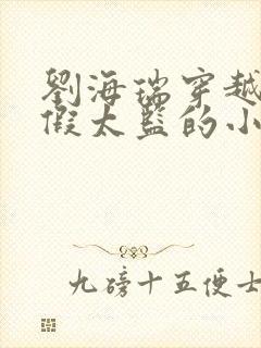 刘海瑞穿越后宫假太监的小说